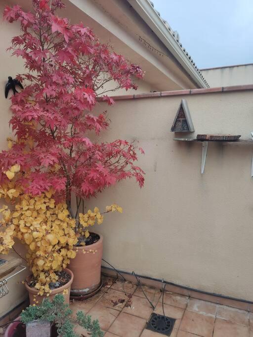 Apartamento Luminoso Con Jardin La Zubia  Zewnętrze zdjęcie